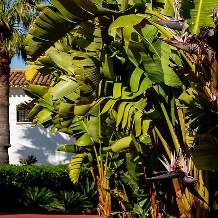 Alfas Oasis Aparthotel *
